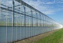 Казахстан запускает крупнейшую программу импортозамещения