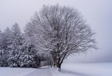 Метели и туман ожидаются в Казахстане 24 ноября