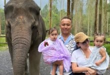 Дочери Баян Алагузовой покормили слонов в Таиланде