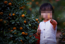 Деньги на "лечение" умершего ребенка собирали в Алматинской области