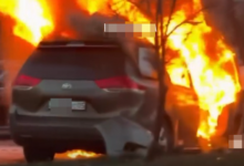 Автомобиль сгорел в ДТП в центре Алматы (ВИДЕО)