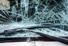 Орлан пробил лобовое стекло авто котом