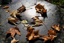 Штормовой ветер и гололед объявлен в Казахстане