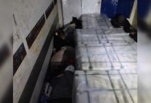 Нелегальные мигранты пытались проникнуть в Казахстан через Актюбинскую область