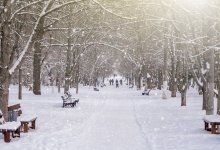 Низовая метель и гололед ожидаются в Казахстане 27 ноября