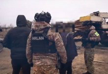 ОПГ занималась незаконной вырубкой леса в Костанайской области (ВИДЕО)