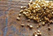 Золотая лихорадка в Степногорске: незаконные старатели добыли 800 кг ценного сырья