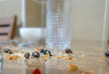 Жуки в макаронах и сырая выпечка: родители Петропавловска бьют тревогу