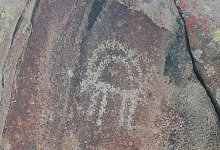 Скопление петроглифов обнаружили в Жетысуской области