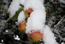 Туманная Астана и солнечный Алматы: синоптики рассказали о погоде