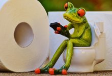 Рентгенолог назвал максимальное время нахождения в туалете