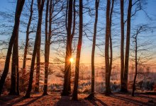 Диалог "Зеленый импульс" прошел в Алматы