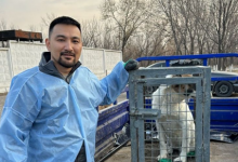 Добро, которое не усыпить: алматинец спас от эвтаназии 100 собак