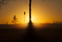 Почти весна: прогноз погоды в Шымкенте на 3 декабря