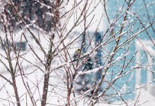 Дождь и снег пройдут на юго-западе и востоке Казахстана