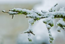 Осадки накроют почти весь Казахстан 5 декабря