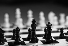 Шахматная лихорадка