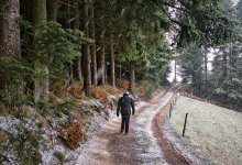 Снег с дождем и резкое похолодание ждут алматинцев