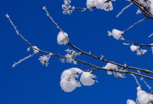 Зима и осень в одном флаконе: в Шымкенте выпадет снег и потеплеет до +12