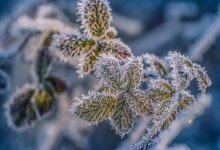 В Астане ожидаются сильные морозы: синоптики предупредили о -26 градусах