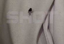 Клопы атаковали пятьзвездочные отели Египта