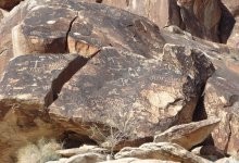 Уникальные следы динозавров обнаружены на скалах Китая