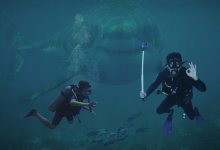 Акула напала на людей во время снорклинга на Мальдивах