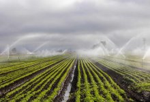 Казахстан переходит к жесткому контролю поливной воды