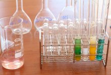 Школьные предметы могут объединить в один: что сказала министр просвещения РК