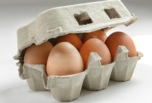 Запрет на ввоз куриных яиц введен в Казахстане