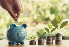 Пенсионные накопления: кому нужно поспешить до 31 декабря