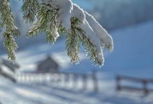 Алматы накроет снегом, Астану – метель и мороз