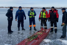 Одинокий лебедь не может улететь на юг: казахстанцы призывают спасти птицу в Караганде