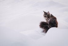 Сильный снег и ветер до 30 м/с ожидаются в Казахстане