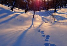 Мальчика, пробиравшегося через сугробы в школу, пригласили на президентскую елку в Кыргызстане