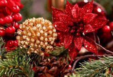 Казахстанским родителям дали рекомендации по выбору новогодних костюмов для детей