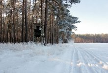 Странные обстоятельства исчезновения: 61-летнего охотника ищут в Атырауской области