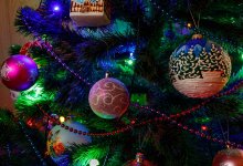 Полицейские предупредили желающих сэкономить на новогодней елке казахстанцев