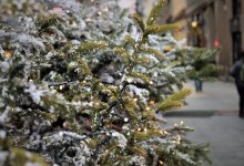 Движение ограничат из-за зажжения новогодних елок в Астане