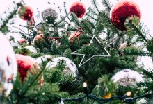 С помощью Виагры продлевают жизнь рождественским елкам в Германии