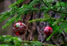 Из-за морозов перенесли церемонию зажжения елки в Петропавловске