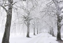 Снег с метелью и гололед накроют большую часть Казахстана