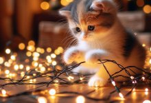 Гирлянды убивают сон: что происходит с мозгом ночью