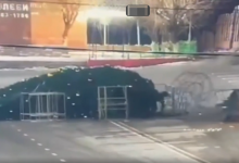 Елку на площади протаранил автомобилист в Туркестанской области