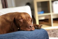 Диван vs движение: какой отдых действительно восстанавливает силы