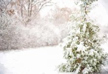 Северо-западный циклон принесет в Казахстан снег, метель и сильный ветер