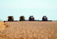 Казахстан укрепляет продовольственную безопасность и наращивает экспорт