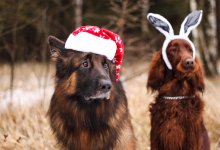 Новый год без радости: что стоит за этим чувством