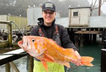 Рыбак поймал окуня-рекордсмена