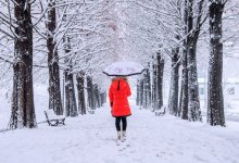 Какие города Казахстана парализует гололед и туман 29 декабря